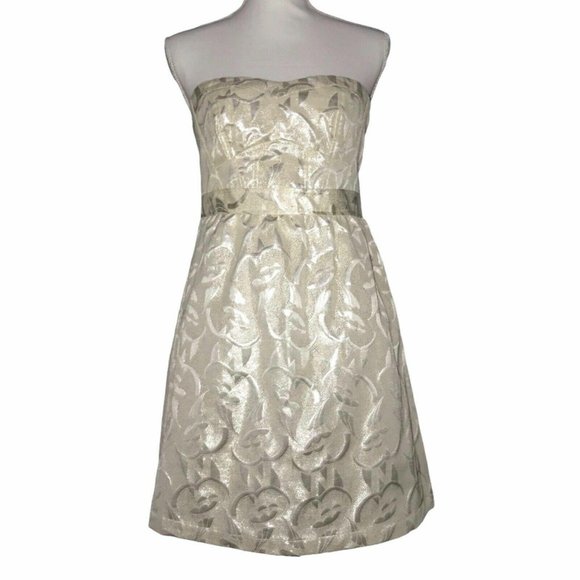 American Eagle Outfitters Dresses & Skirts - NWT American Eagle Metallic Strapless Dress 8